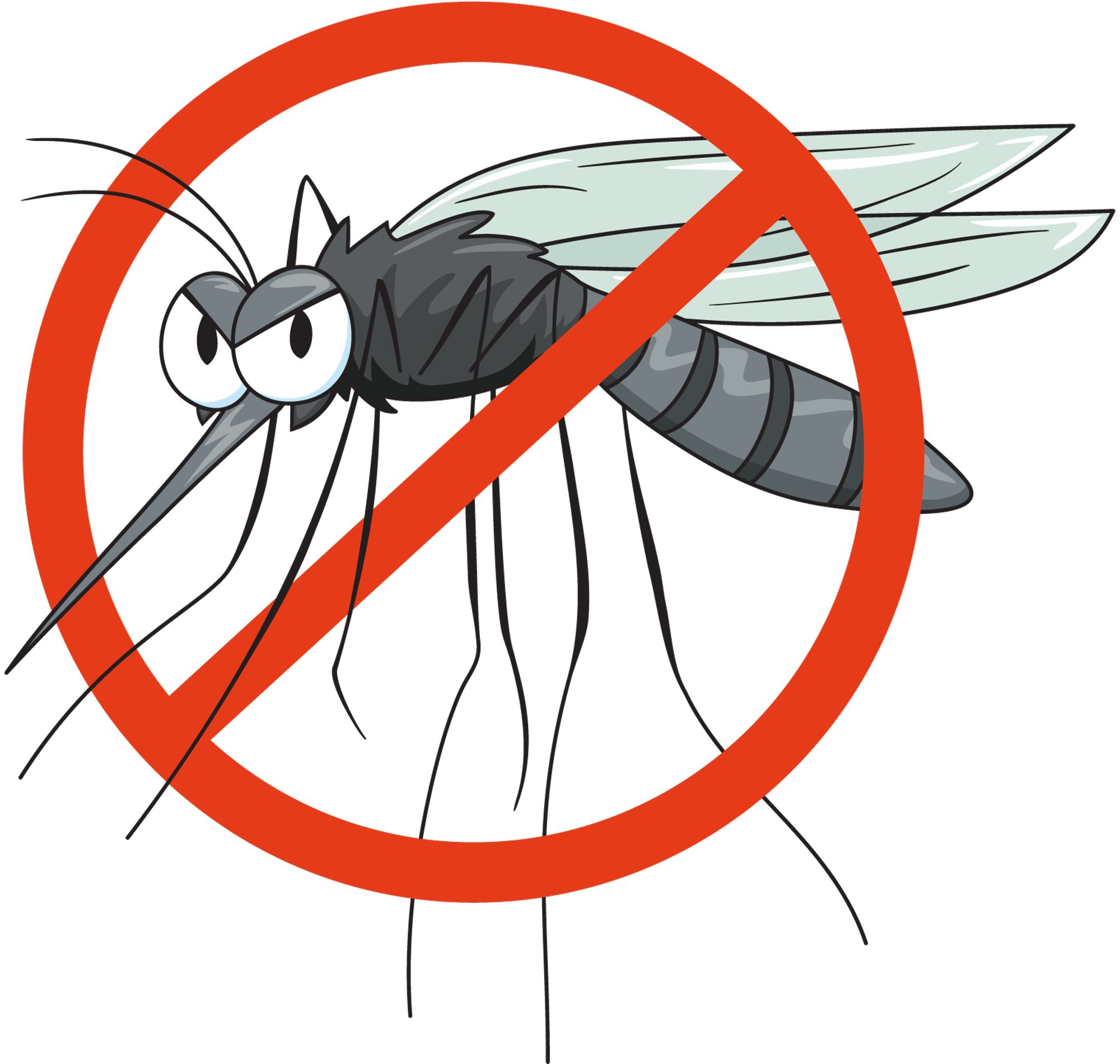 Quiz moustique tigre