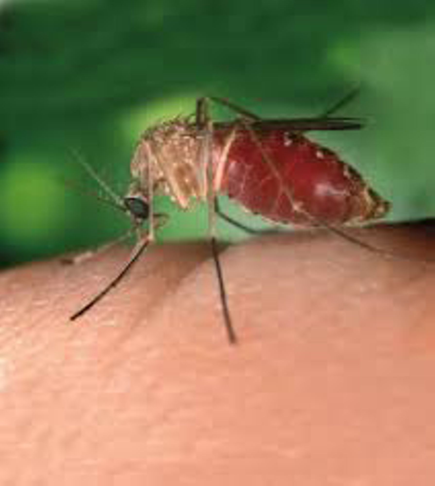 Fiche connaissances n° 10