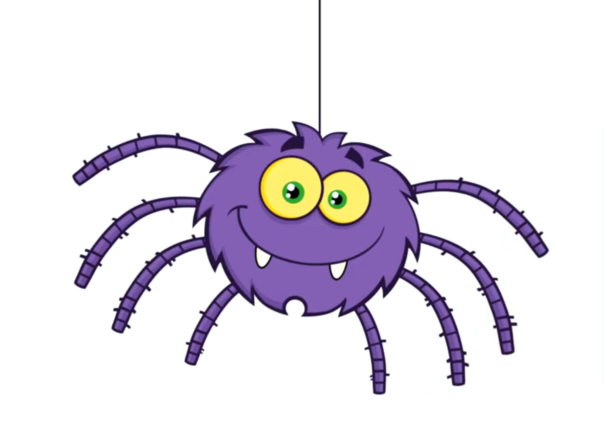 Diaporama pour le cycle 3 (CM2)