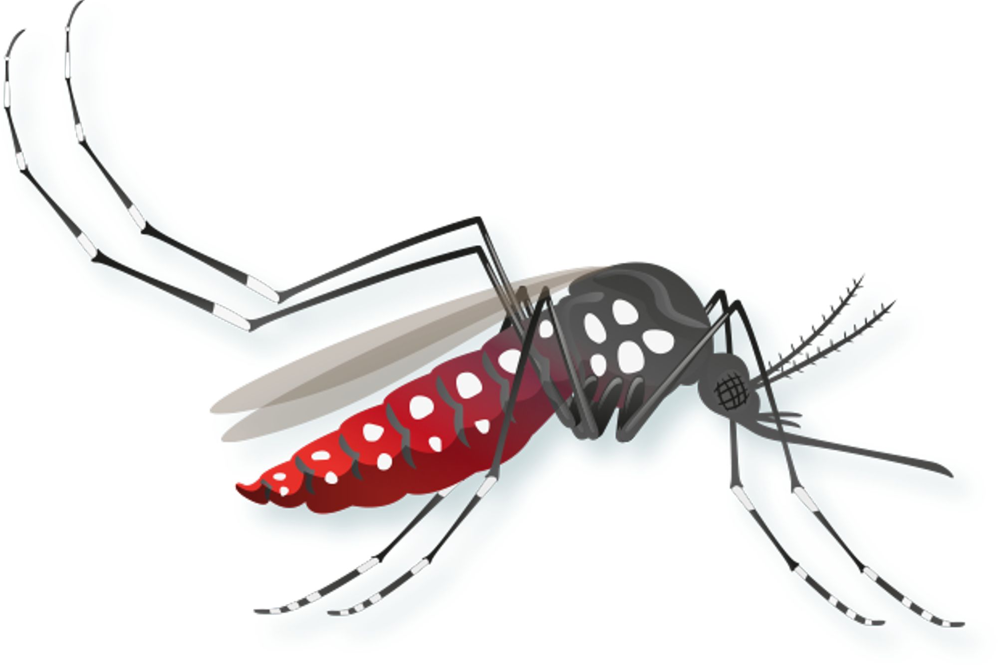 Complétez vos connaissances !