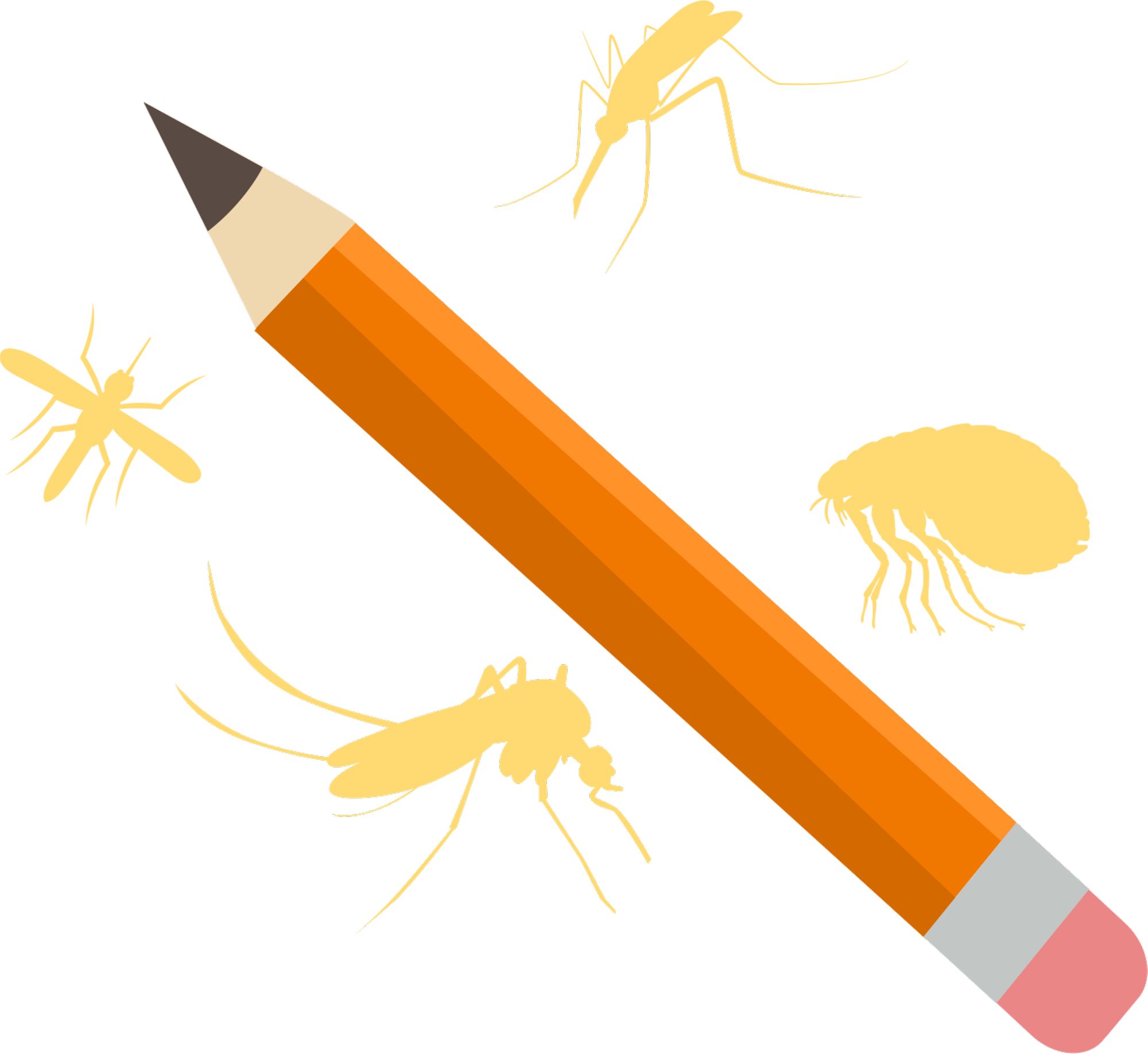 Choisissez vos activités pédagogiques