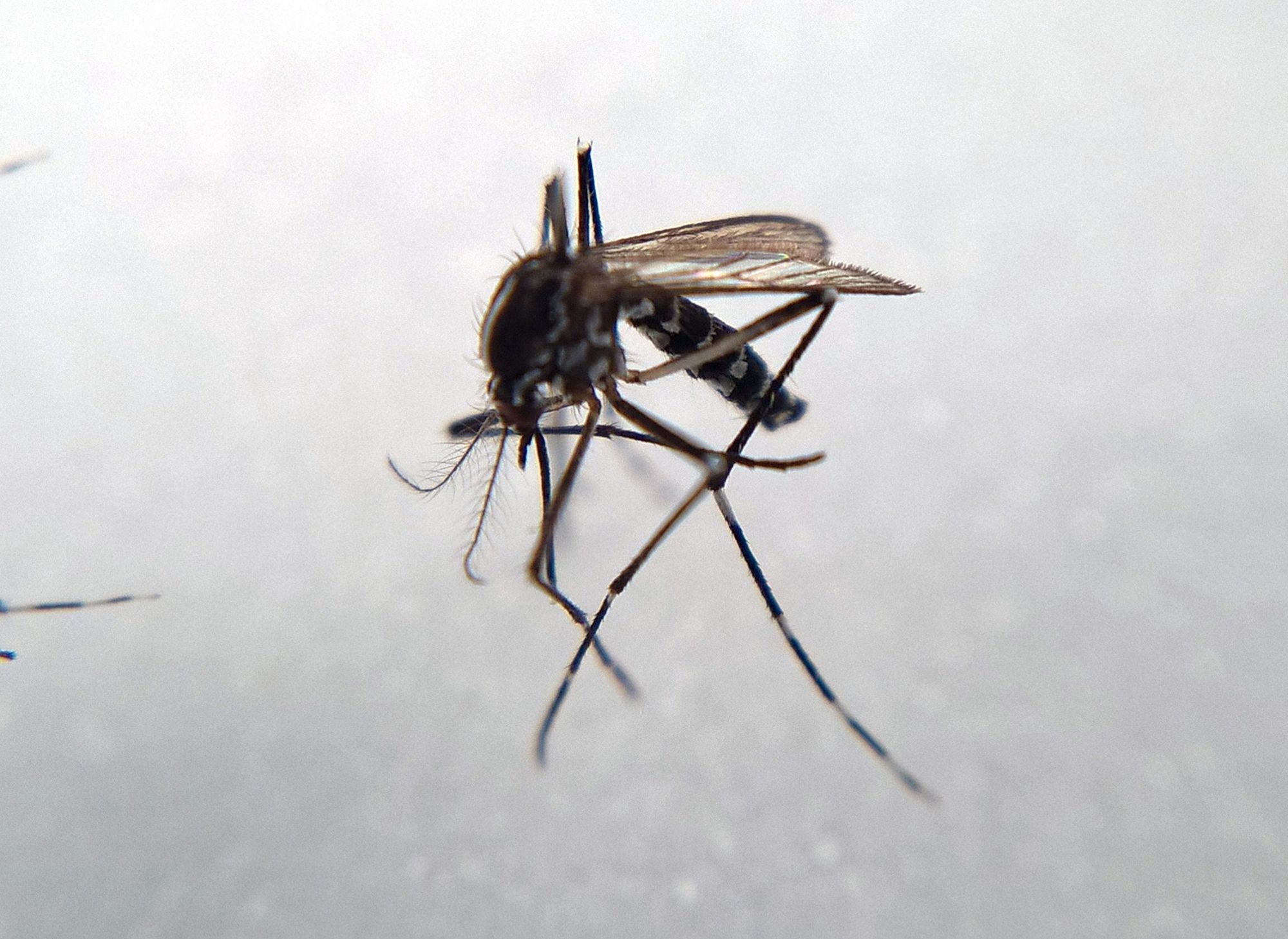 Fiche pédagogique n° 2