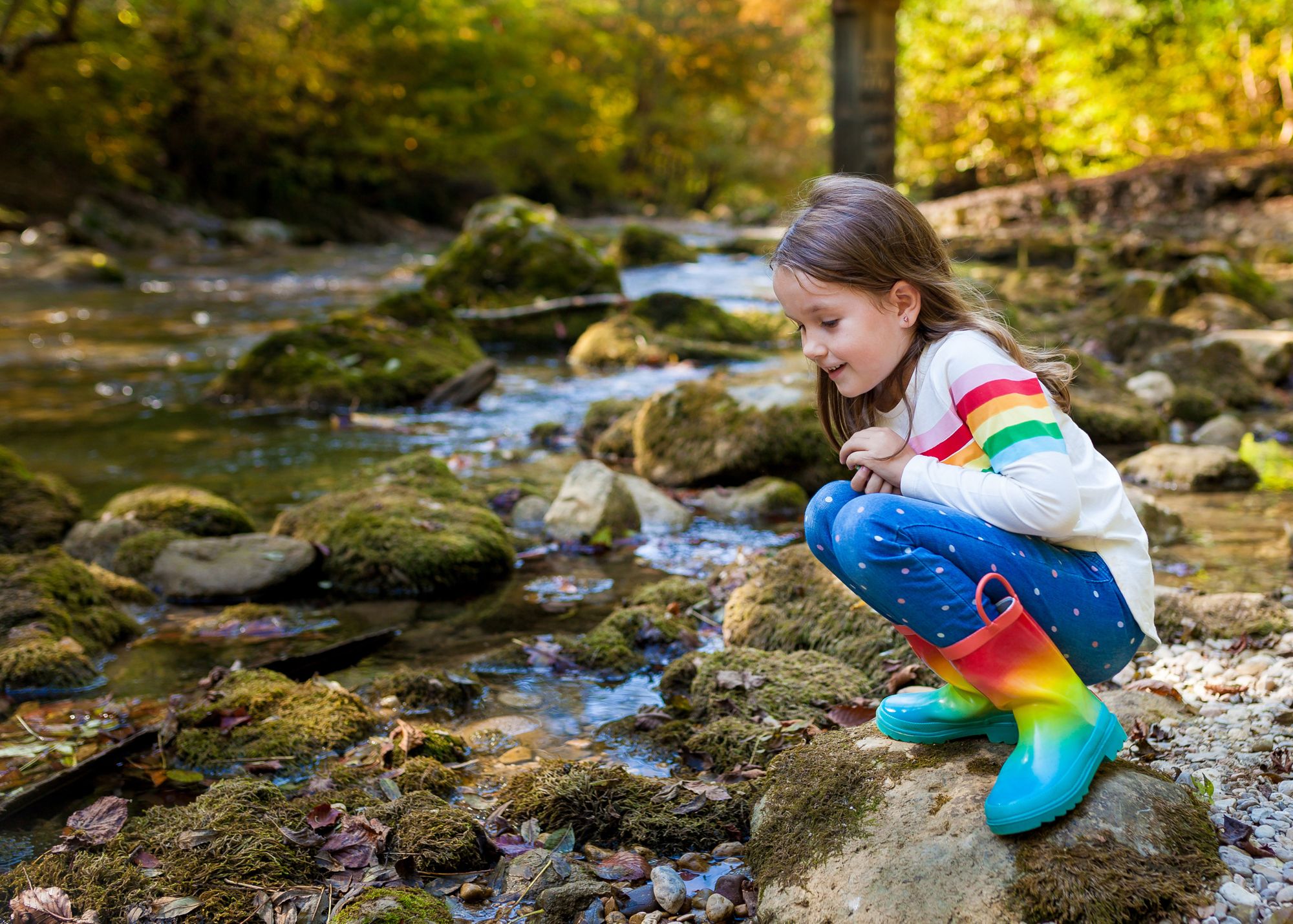 Fiche pédagogique n° 3